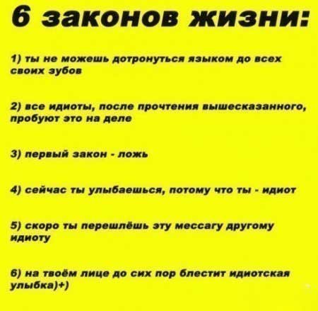 x_5f230996.jpg