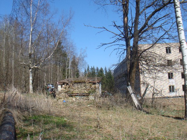DSC09645.JPG