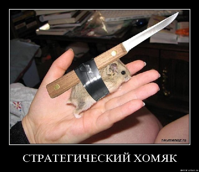 1250525411_038.jpg