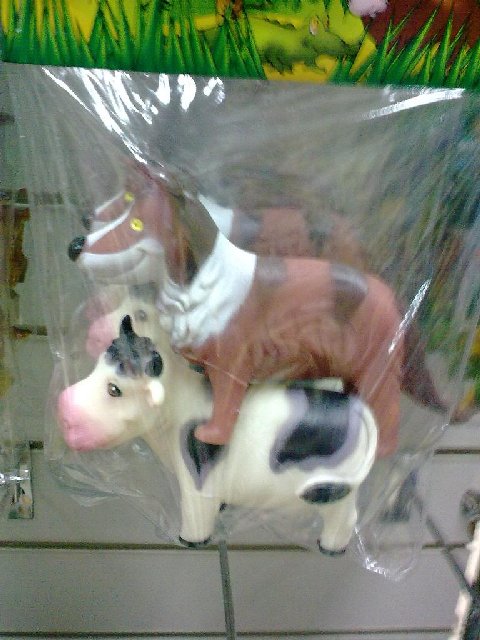 27082009111.jpg
