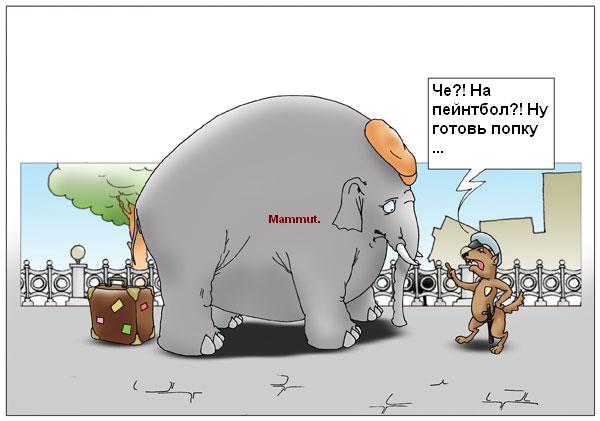 Маммут вс Гатта.JPG