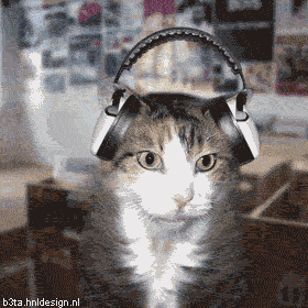 кот прикольный.gif