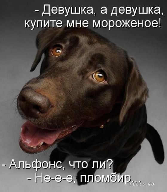 138914271733475996.jpg