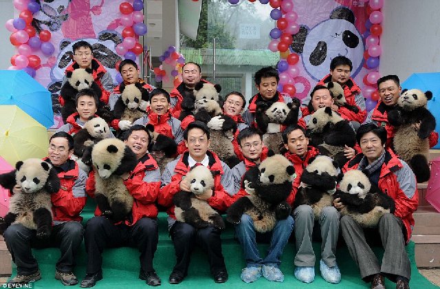 andpandas4all.jpg