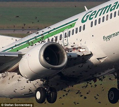 Plane_02.jpg