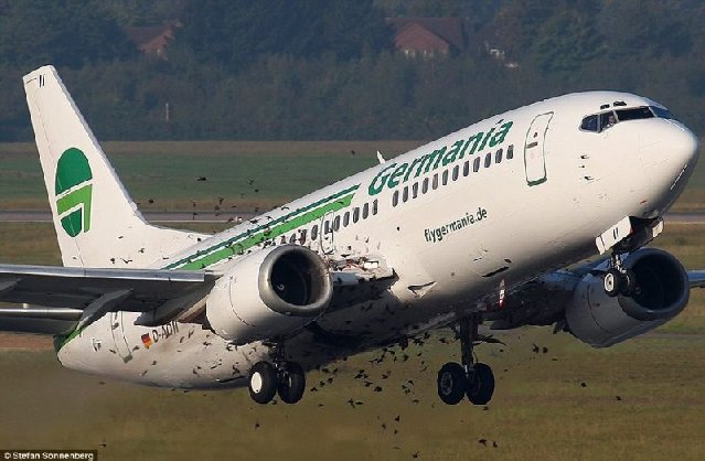 Plane_03.jpg