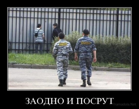 посрут.jpg