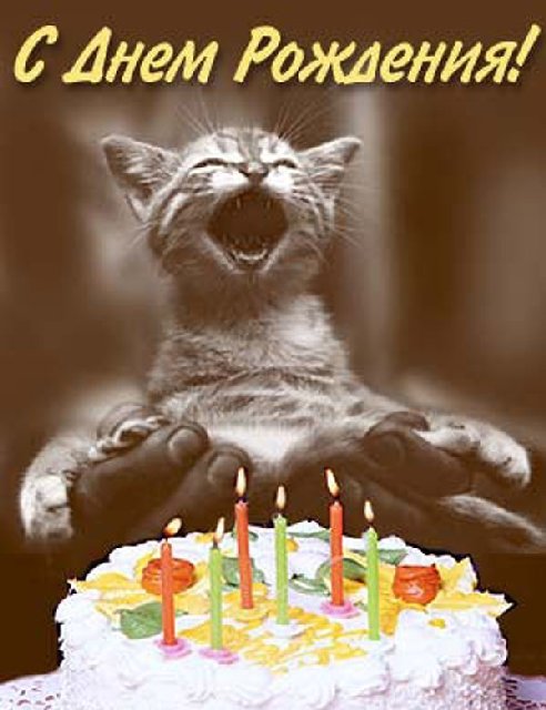 HappyB.jpg