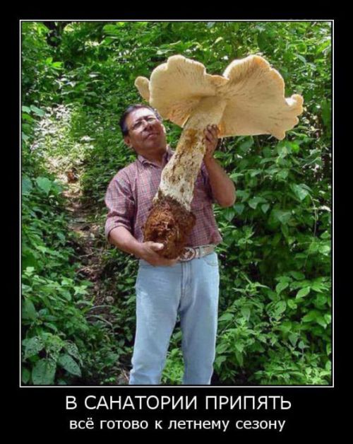 demotivator_088.jpg