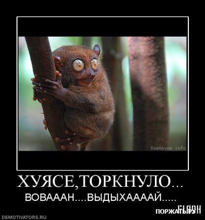торкнуло.jpg