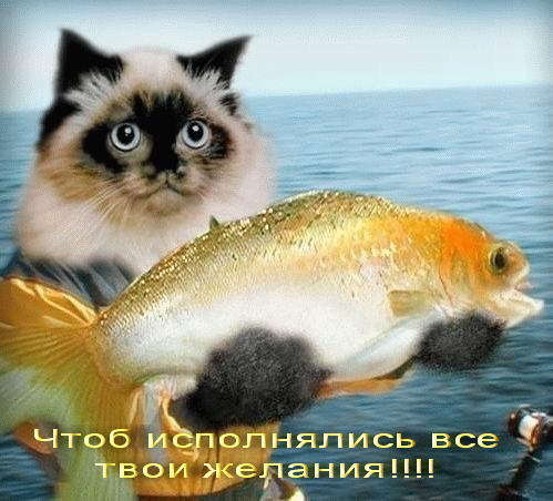 чтоб.jpg