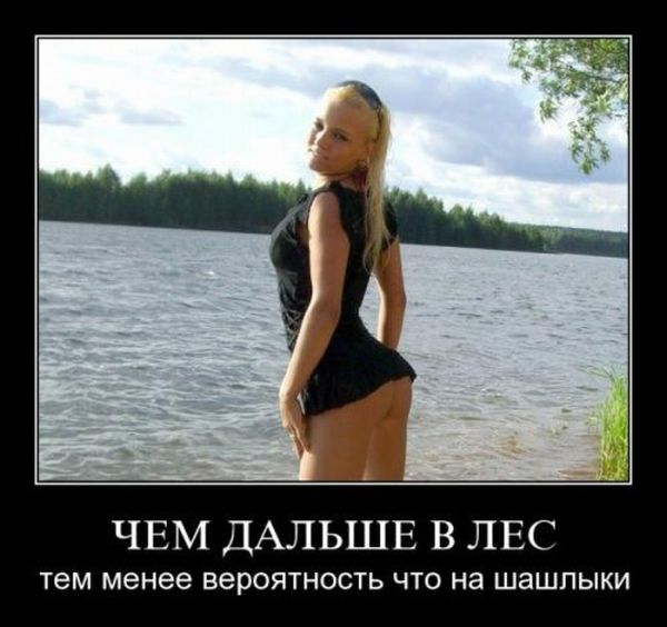 в лес.jpg