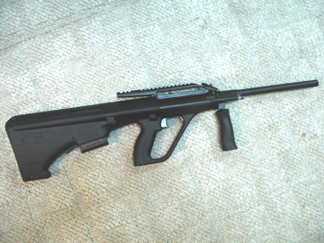 aug-steyr.jpg