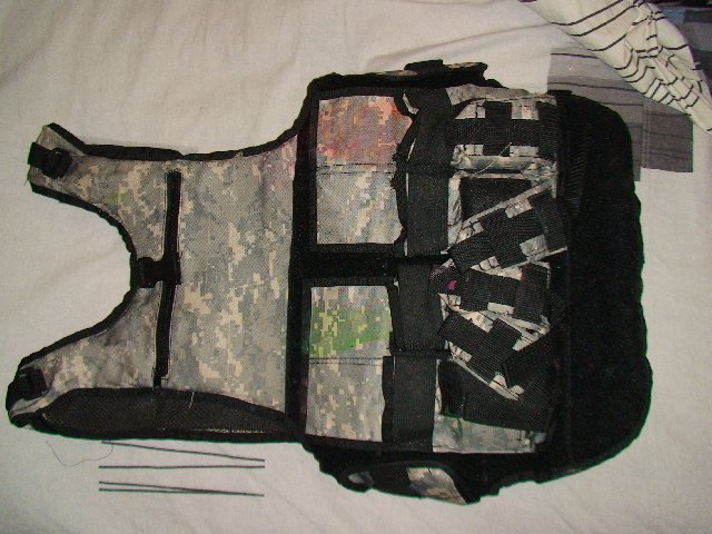 DSC00273.JPG