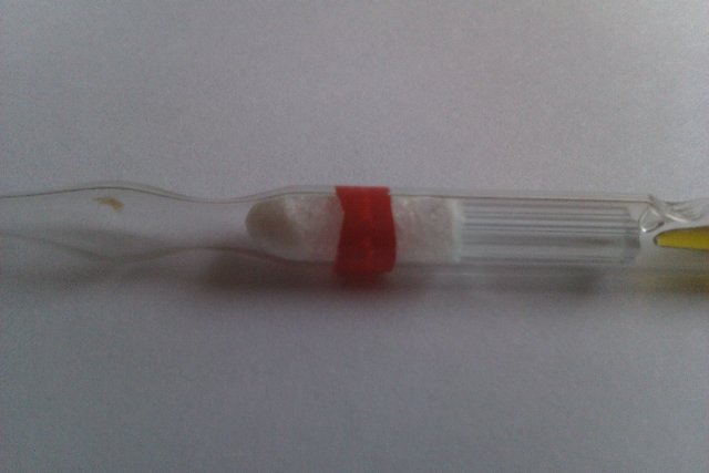 IMAG0019.jpg