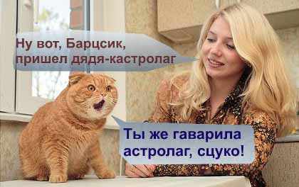 post-260-1280121181,276.jpg