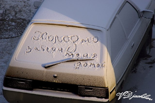 1233530[1].jpg